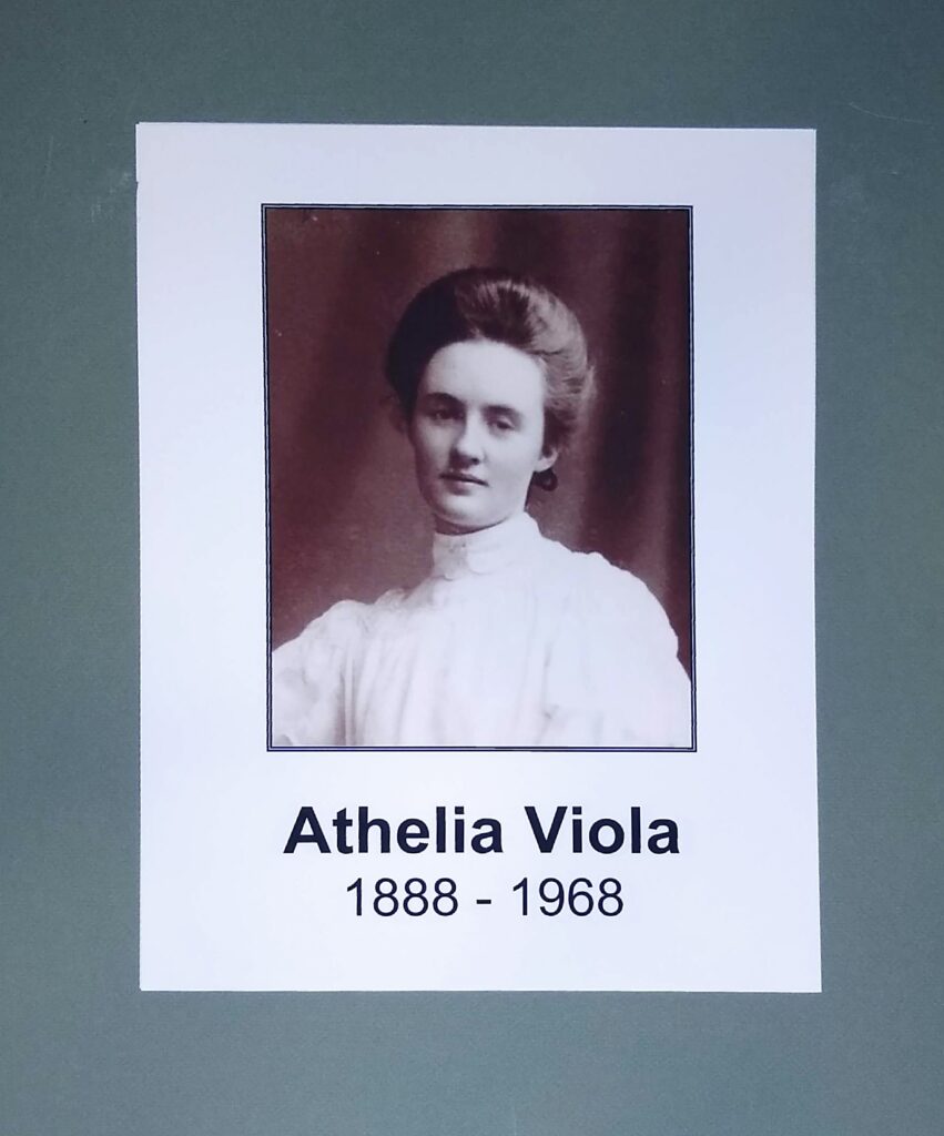 Athelia Viola