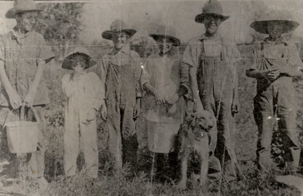 c. 1915 Picking potatoes: Charlie, Ara, Velan, Lorna, Waldo, Gaius, Old Gyp